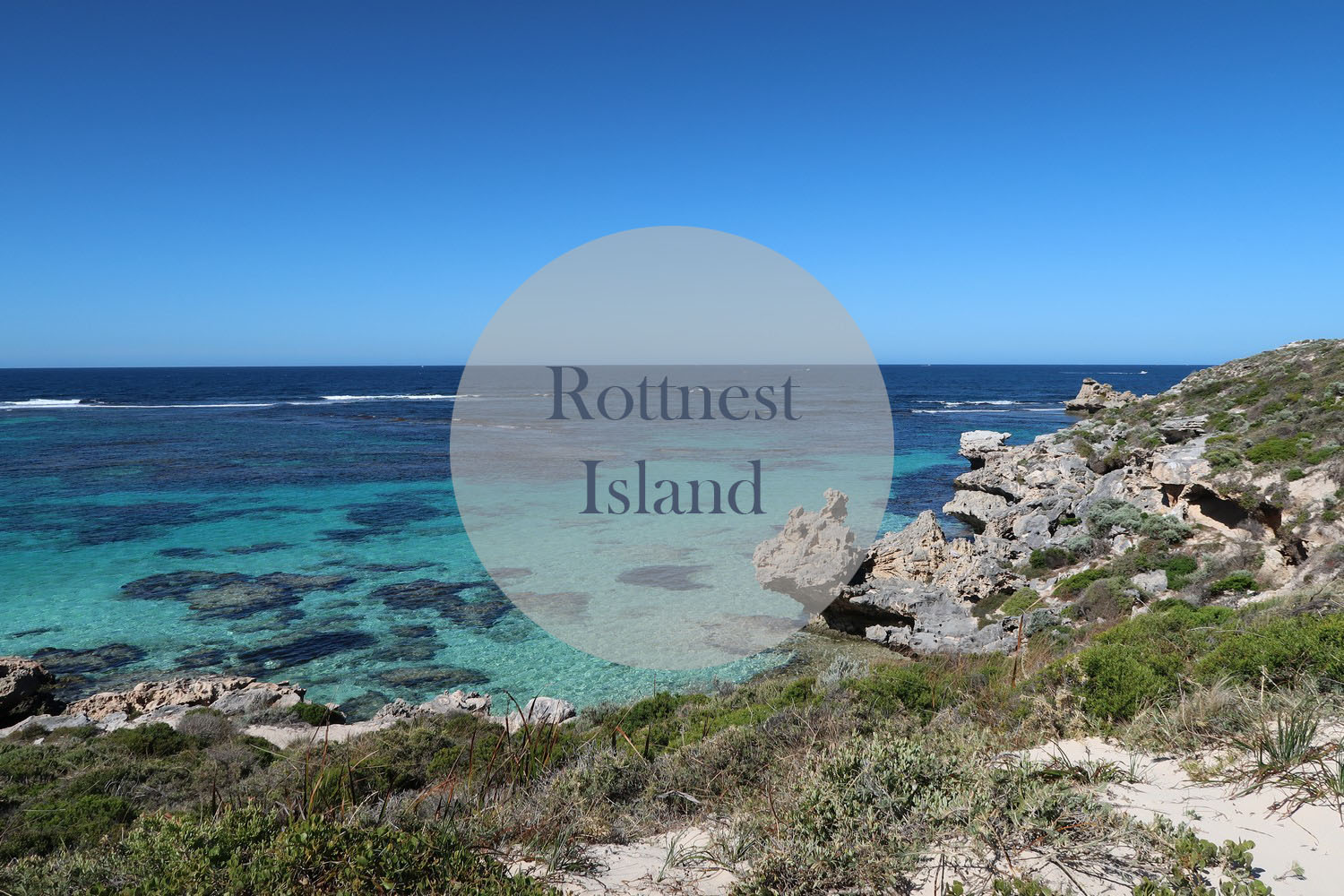 Rottnest island